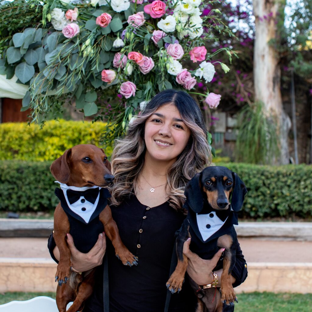 Wedding dog sitter mexico